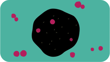 Alfa Mannosidozu
anlamak burada başlar
